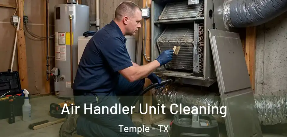 Air Handler Unit Cleaning Temple - TX