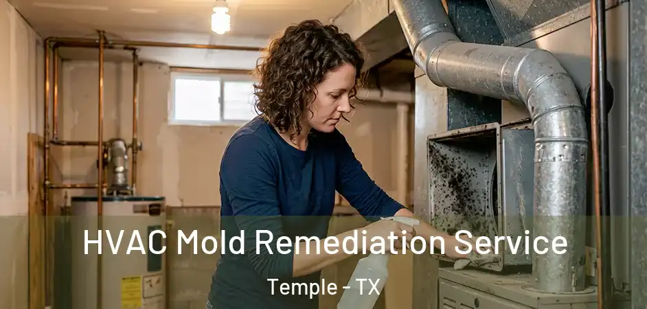 HVAC Mold Remediation Service Temple - TX