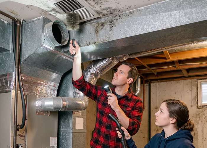 Premier HVAC Mold Remediation Company in Temple